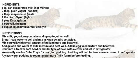 Emergency Kitten Formula Recipe - PET and YOU