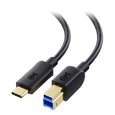 Buy Cable Matters Type-C USB 3.1 Type B Cable (USB-C / USB C USB B 3.0 ...