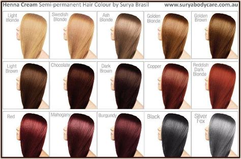 ion hair color chart for beginners and everyone else lewigs - permanent color chart ion at home ...