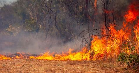 Man charged with 15 counts of arson for intentionally starting fires ...