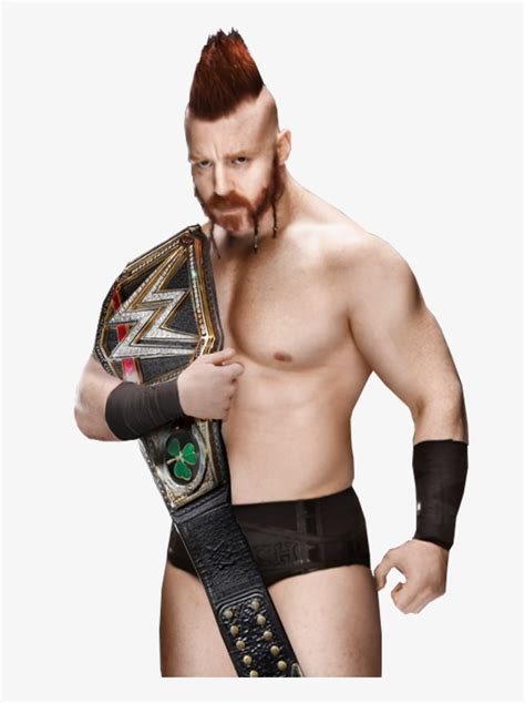 Sheamus Wwe World Heavyweight Champion - Wwe Sheamus World Heavyweight Champion - 698x1024 PNG ...