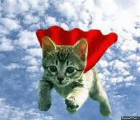 supercat gif on Make a GIF