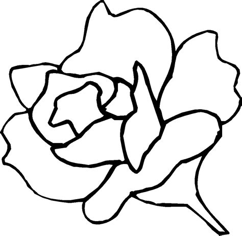 Tracing Flowers - ClipArt Best