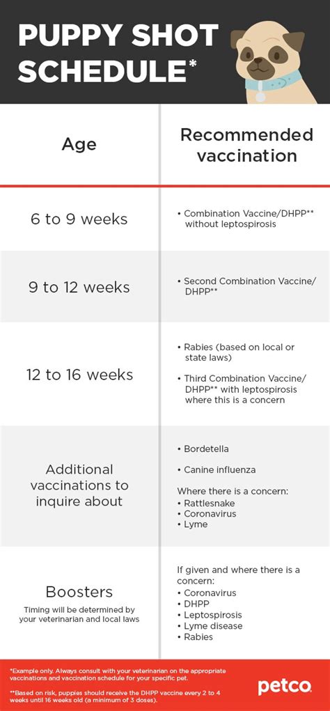 Printable Puppy Vaccination Chart - Printable Word Searches