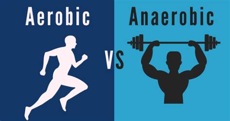 Aerobic vs. Anaerobic Exercise, Thornton CO Gym | AFAC Gym