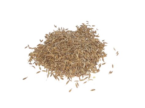 Cumin seeds isolated png 24761675 PNG