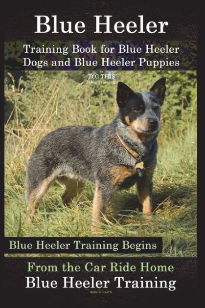 Blue Heeler Training Book for Blue Heeler Dogs and Blue Heeler Puppies ...