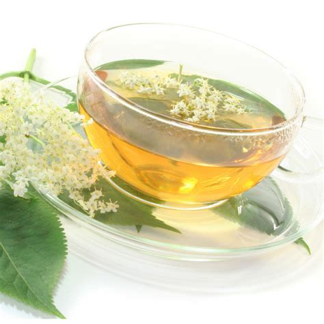 Elderflower Tea - GAPS Diet Australia