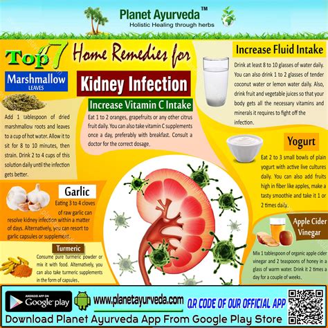 Top 7 #Home #Remedies For #Kidney #Infection #increasevitamin #increaseFluid #Yugurt # ...