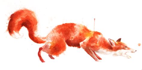 Toast: red fox watercolor