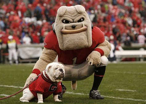 Georgia Baseball on six-game winning streak after beating South Carolina