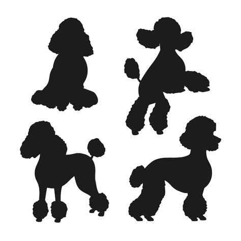 Cocker spaniel silhouette Vectors & Illustrations for Free Download ...