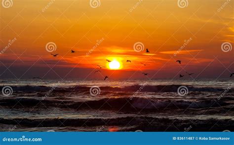 Sunset. Beautiful Sunset Black Sea Stock Image - Image of black, life ...