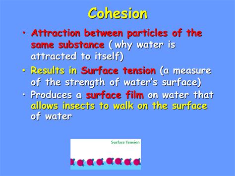 Properties of Water - Presentation Biology