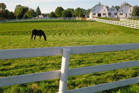 8 Tips for Better Horse Pastures. Pasture is one of the cheapest and best feeds for our horses ...