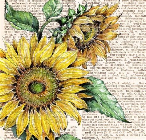 SUNFLOWER PRINT on Dictionary Page Vintage Style Watercolor Art Botanical Poster Illustration ...