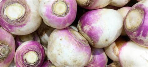 What Is Rutabaga? Nutrition, Benefits and How to Cook - Dr. Axe