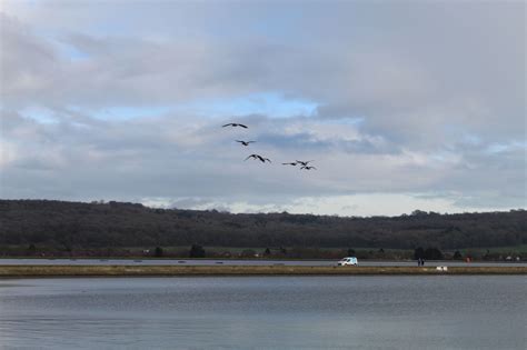 Farmoor Reservoir Walk Review - The Family Ticket