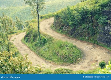 Twisted roads stock photo. Image of destiantion, road - 61030892