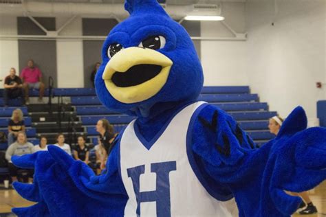 Highlands Volleyball dominates Dixie Heights with school spirit – The ...