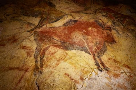 Altamira Cave, Spain » Ancient Art Archive