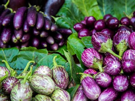 Is Eggplant Keto-Friendly? - Low Carb Yum