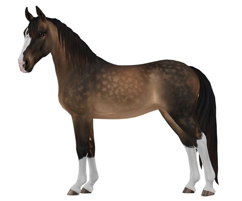 Tennessee walker, horse breed of Jorvik | Star Stable