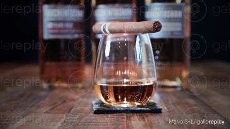 Whisky Swirl Cinemagraph by Mario Sahe-Lacheante | Whisky, Alcoholic drinks, Cinemagraph