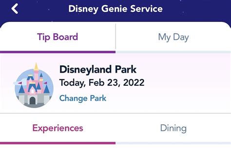 An Honest Review Of Using Genie+ At Disneyland - DVC Shop