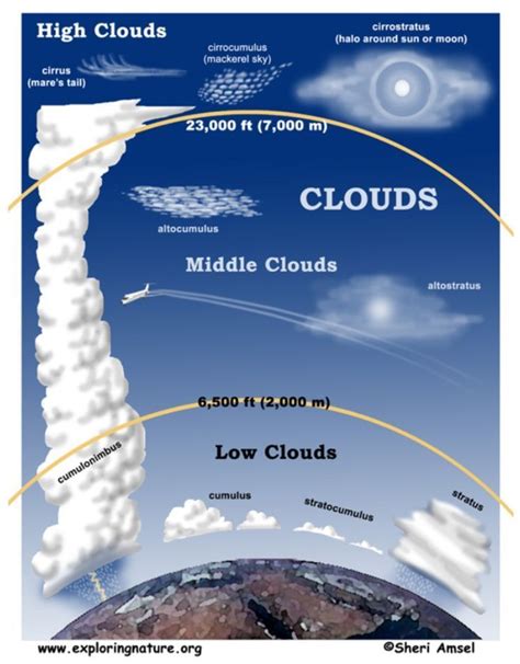 Cloud Types Infographic | Science education, Earth and space science