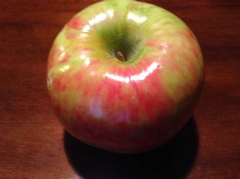 Honeycrisp Apple Review - Selective Elective