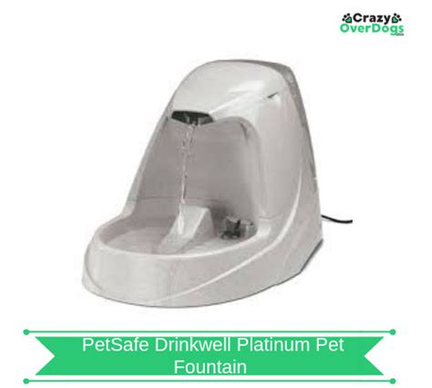 PetSafe Drinkwell Platinum Pet Fountain - 2022 Buying Guide