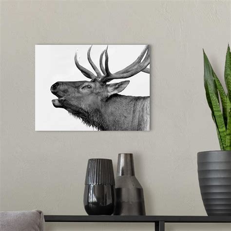 Deer Wall Art, Canvas Prints, Framed Prints, Wall Peels | Great Big Canvas