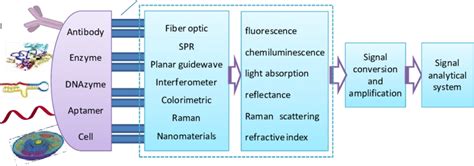 Schematic of an optical biosensor. | Download Scientific Diagram