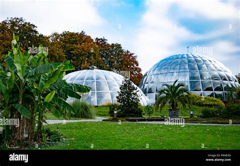 Botanical Garden in Zurich Stock Photo - Alamy