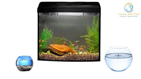 The Ultimate Guide to Choosing the Best Fish Tank Size - Living with Fish