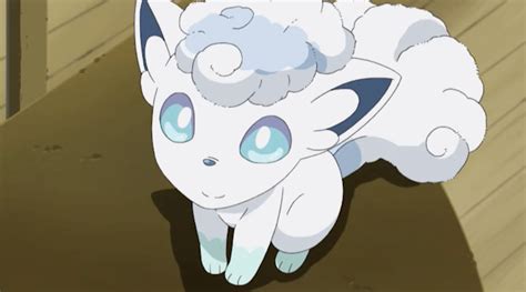 Snowy | Pokémon Wiki | Fandom