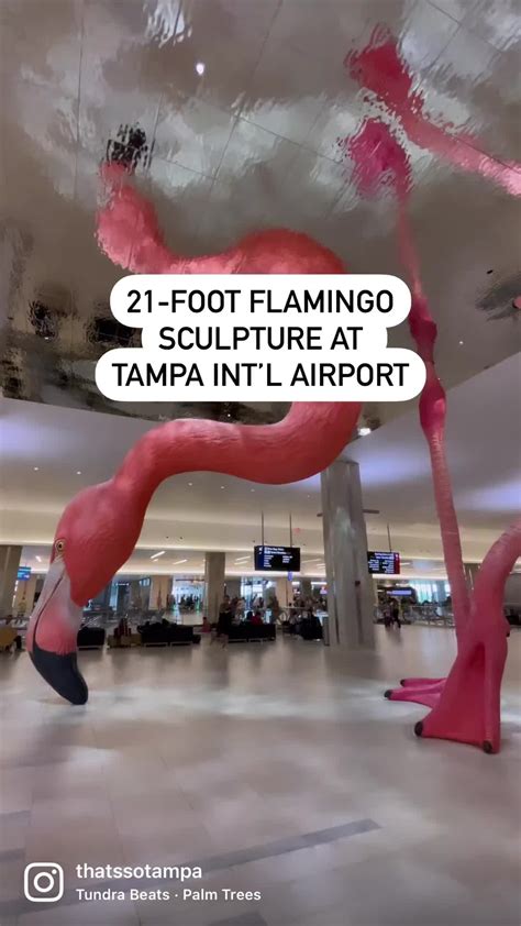 The giant flamingo sculpture is finally complete at Tampa International ...