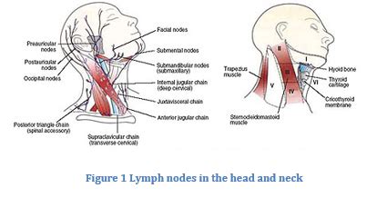 lymph Node Biopsy