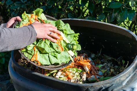 Worst food waste items to compost | KS Environmental