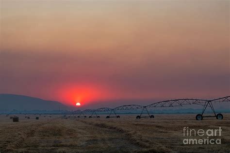 Fire Red Sky Photograph by Michael Dawson - Fine Art America