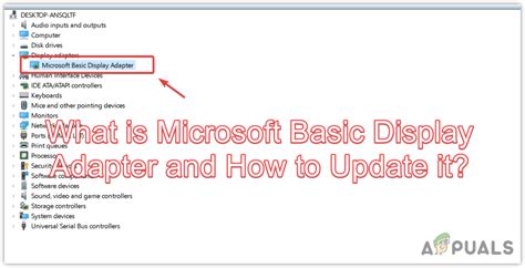 What is Microsoft Basic Display Adapter and How to Update it?