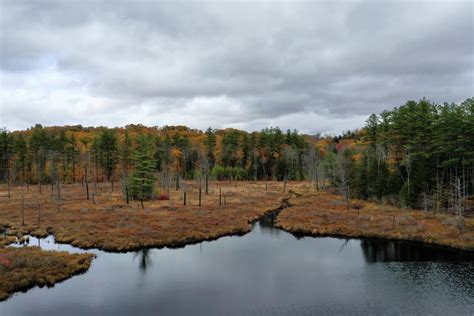 Nor'Easter Archive — Northeast Aquatic Plant Management Society | NEAPMS