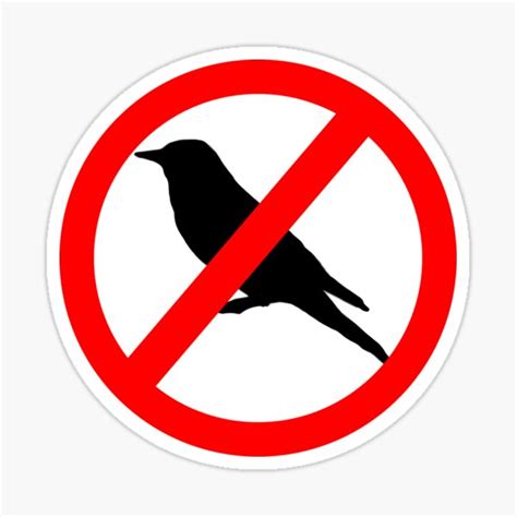 "No Birds Allowed" Sticker for Sale by smheryl | Redbubble