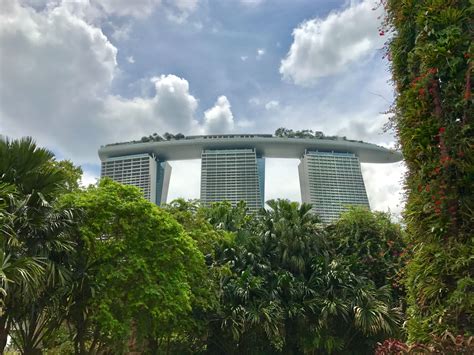 Inside Singapore’s plan for climate change-resistant trees