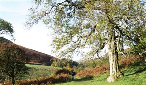 Walk in Barbondale walking near Barbon Beck Village Yorkshire Dales ...