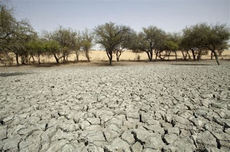 Fighting Desertification the African Way | Financial Tribune