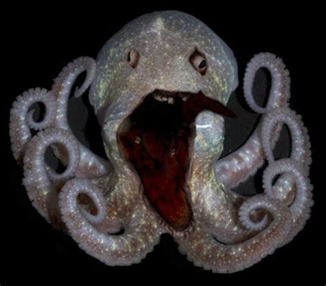 Creepy Deep Sea Creatures: A Fascinating Look at the Underwater World