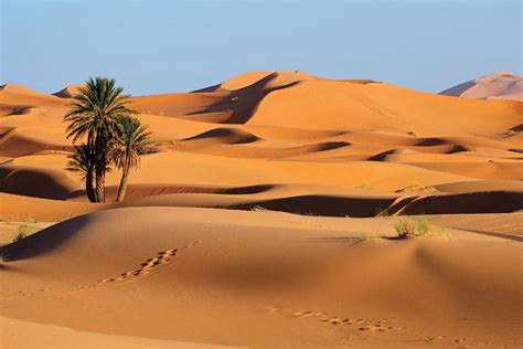 Le Sahara - Desert Maroc