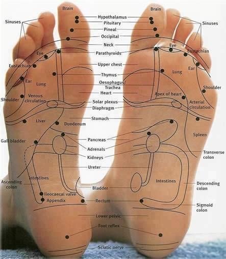 Physical and Spiritual Health: Foot reflexology pressure points map